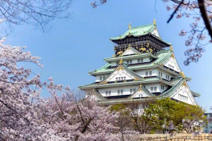 Private Transfer Between Kobe Cruise Port and Shin-Osaka Station