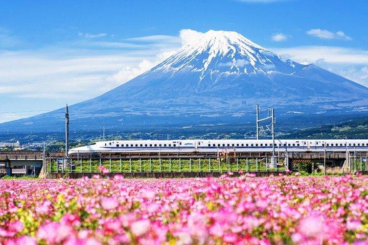Mount Fuji Hakone-resa med repväg (tillval)