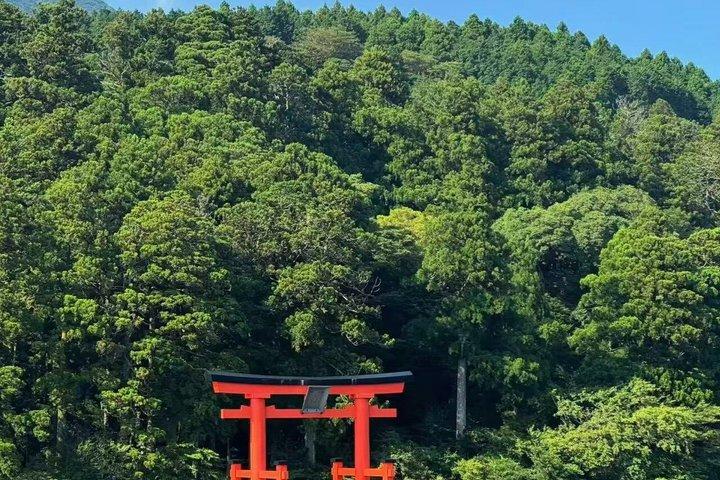Mount Fuji Hakone-resa med repväg (tillval)