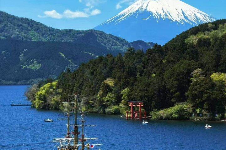 Mount Fuji Hakone Trip met kabelbaan Optionele Kogeltrein Retour