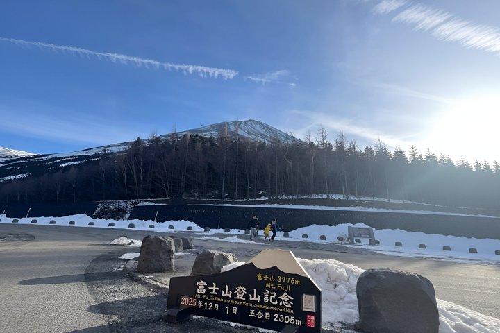 Mount Fuji Hakone Trip met kabelbaan Optionele Kogeltrein Retour