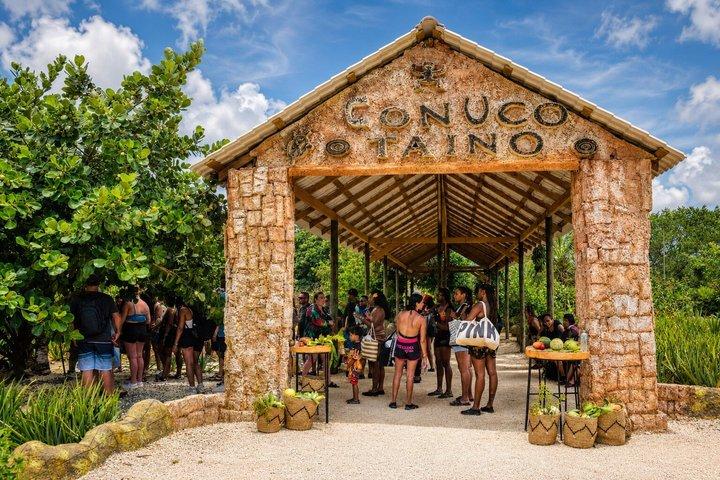 Punta Cana Domitai Park 9 i 1 Buggy Zipline Cenote Lunch, Avhämtning