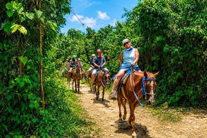 Punta Cana Domitai Park 9 i 1 Buggy Zipline Cenote Lunch, Avhämtning