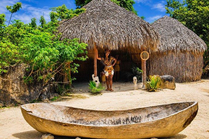 ドミタイ・パーク・ハシエンダ パンタカナのランチ付き9つのアトラクション