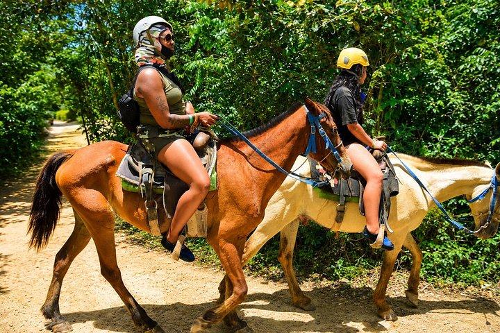 ドミタイ・パーク・ハシエンダ パンタカナのランチ付き9つのアトラクション