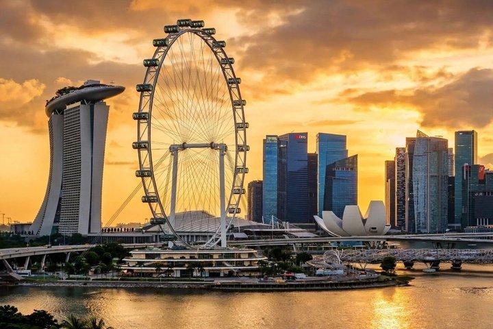 Singapore Flyer Observation Wheel Ticket
