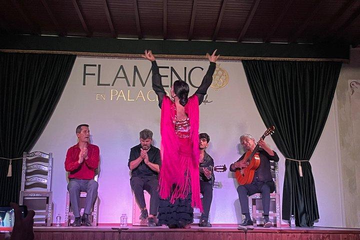 Flamencoshow in Palacio Granada