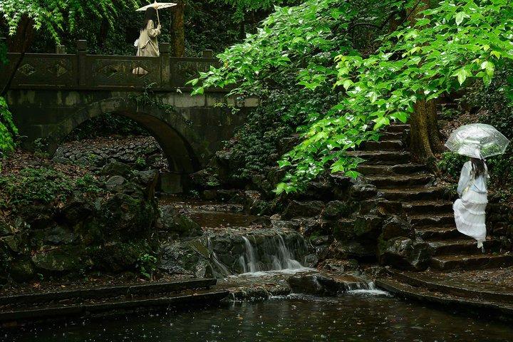 Excursion d'une demi-journée à Hangzhou Nine Creeks Dragon Well