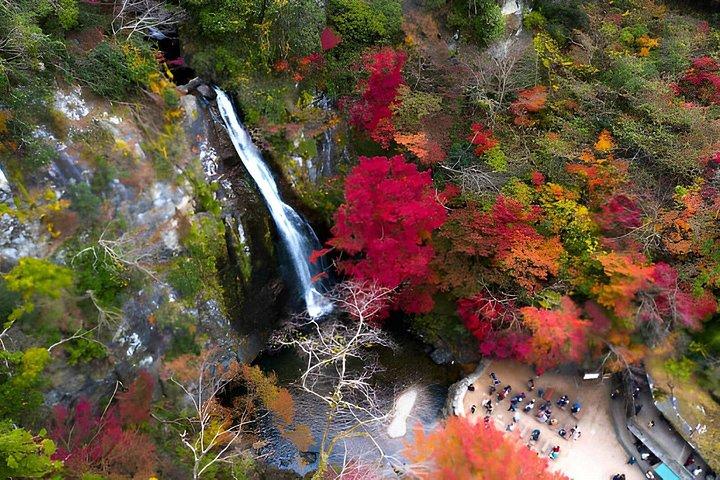 箕面滝プライベートネイチャーエスケープハイキングと隠れた滝