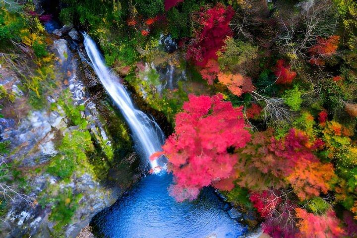 Minoh Falls Private Nature Escape Hiking and Hidden Waterfalls