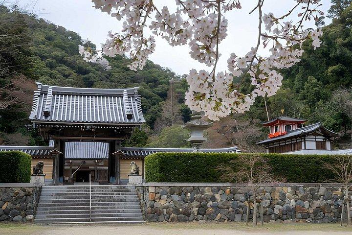 箕面滝プライベートネイチャーエスケープハイキングと隠れた滝