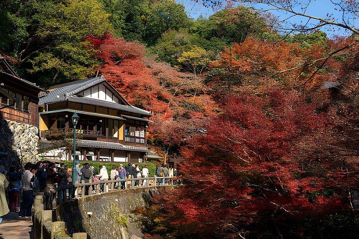 箕面滝プライベートネイチャーエスケープハイキングと隠れた滝