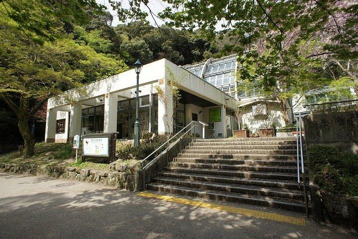 箕面滝プライベートネイチャーエスケープハイキングと隠れた滝