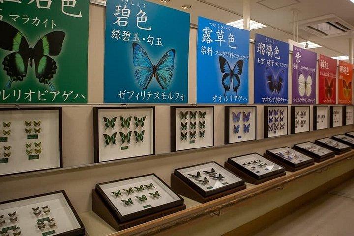 箕面滝プライベートネイチャーエスケープハイキングと隠れた滝
