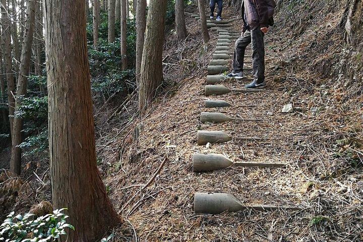 箕面滝プライベートネイチャーエスケープハイキングと隠れた滝