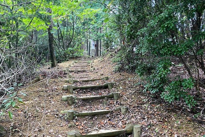 箕面滝プライベートネイチャーエスケープハイキングと隠れた滝