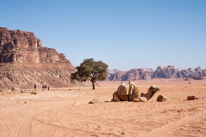 シャルム・エル・シェイクからフェリーでペトラへ