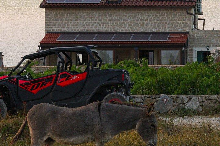 4-Seater Buggy — Self-Guided Adventure in Hvar