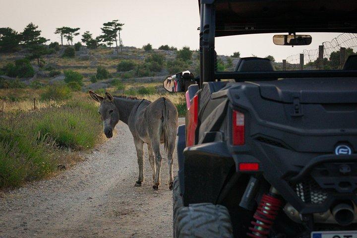 4-Seater Buggy — Self-Guided Adventure in Hvar