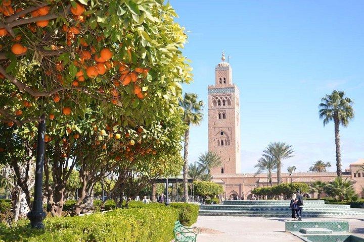 Marrakech Day Trip from Casablanca with Camel Experience