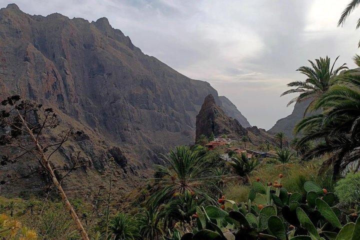 Premium Tour : Discovery (Masca, Punta de Teno and Garachico)