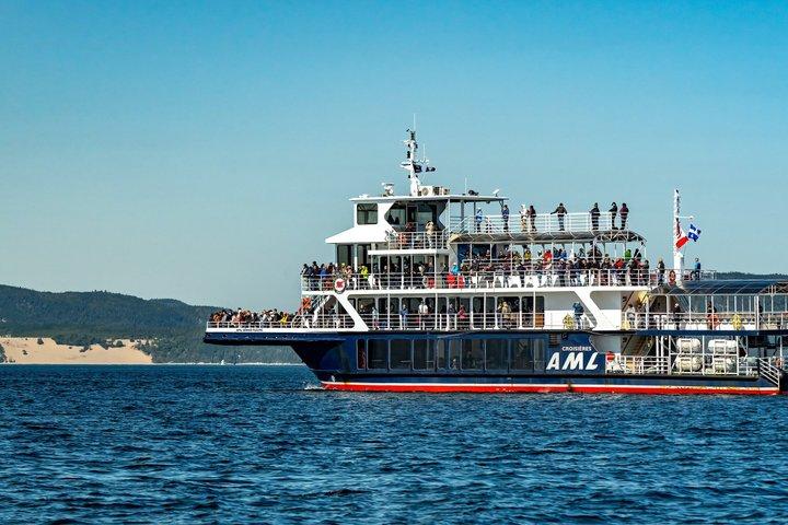 Tadoussac/Charlevoix: Walvis & Beer Wildlife Tour