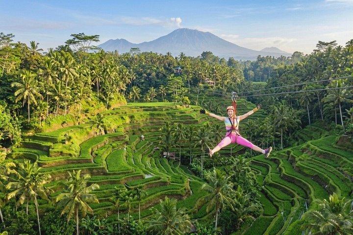 Ubud : Cascate, tempio e terrazza di riso Tour privato all-inclusive