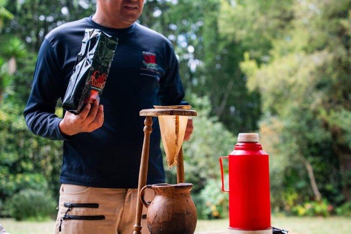 Ataco Coffee Tour med Casa 1800 frukost och kaffeprovning