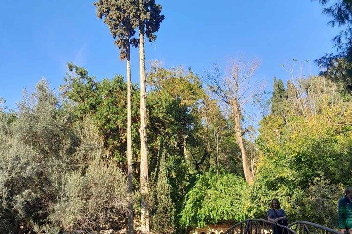 Atenas a través de las edades Jardines del estadio panateneo y café local