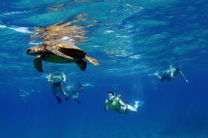 プライベートで贅沢なサンセットクルーズ（グルメハワイアンミール付き）