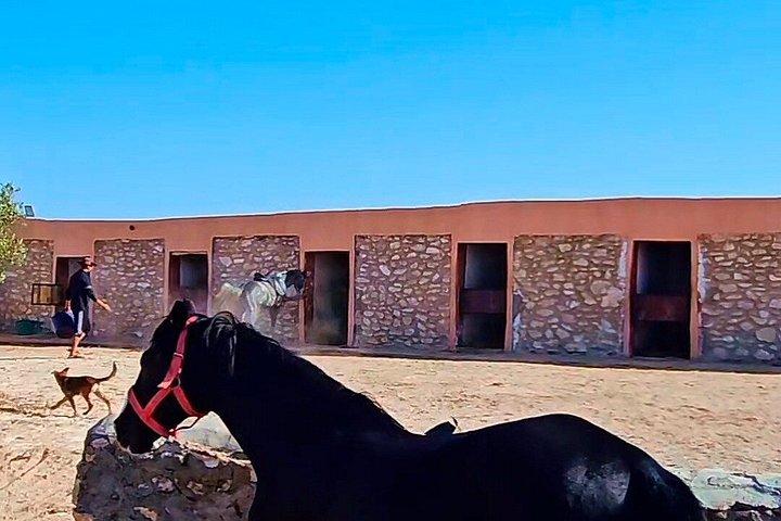 Horse Riding Silent Disco Beach Experience AGADIR