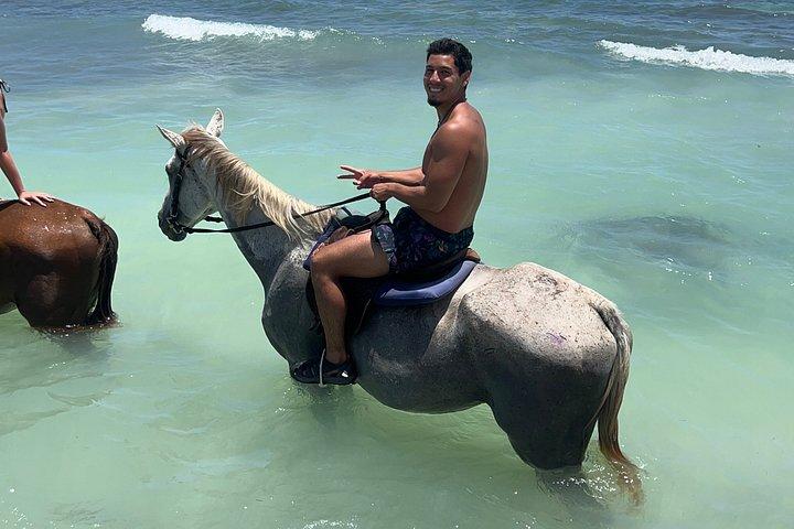 バンブー川ラフティング＆モンテゴベイで乗馬バック