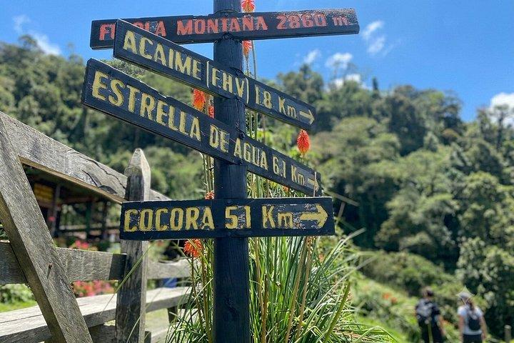 Cocora Valley : 10 km Nature and Forest Hike