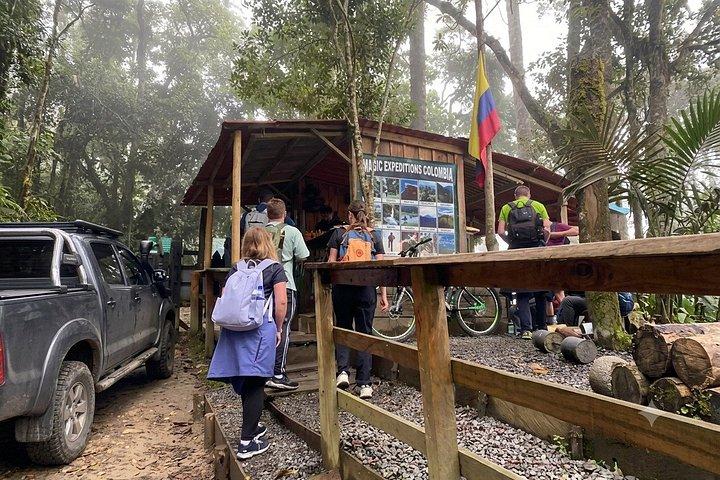 Cocora Valley : 10 km Nature and Forest Hike
