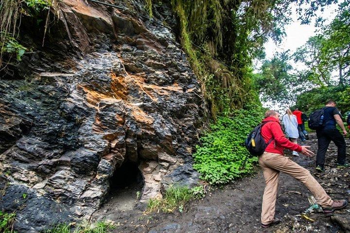 Cocora Valley : 10 km Nature and Forest Hike