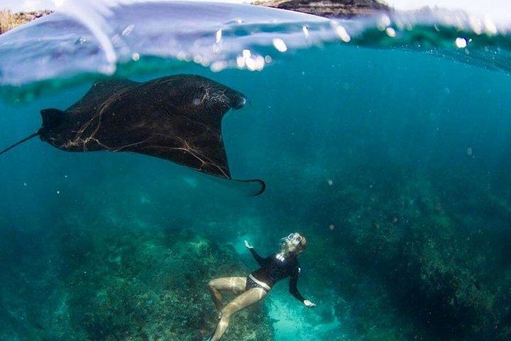 東ヌサペニダ島と西ヌサペニダ島を組み合わせたアドベンチャー