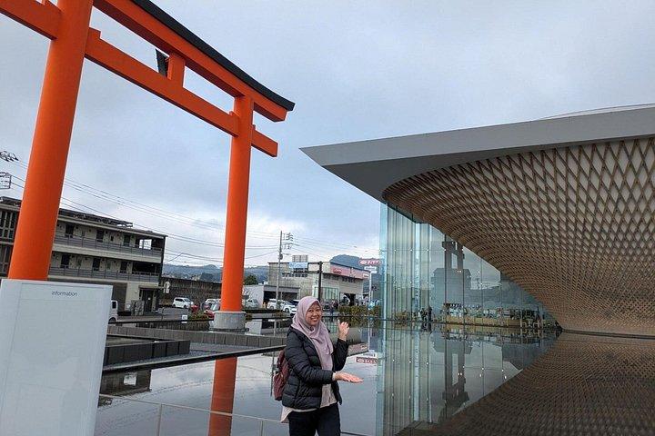 新幹線北斎列車とわさび農園で富士山を眺めるツアー