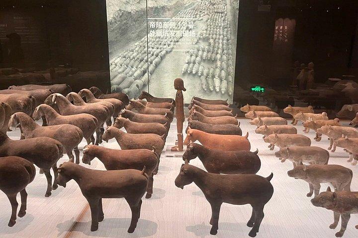 テラコッタ軍と漢陽陵博物館プライベート日帰りツアー