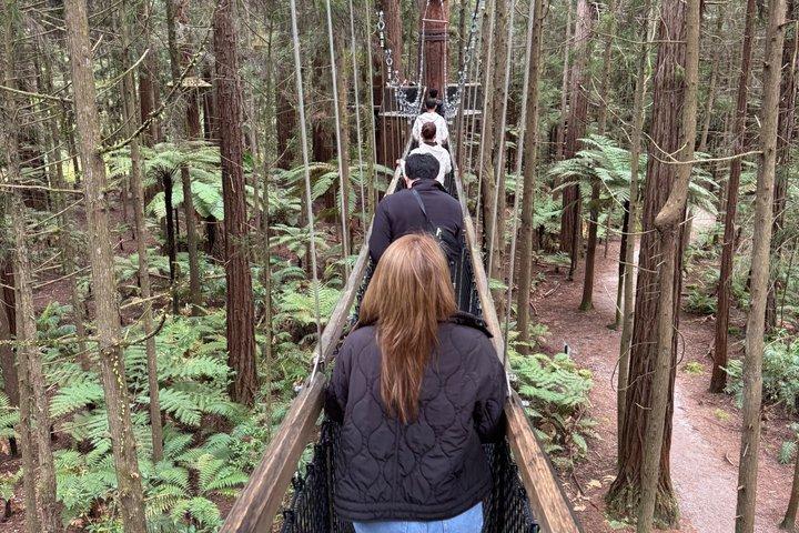 Excursión privada de un día a Hobbiton, Te Puia y Rotorua desde Auckland