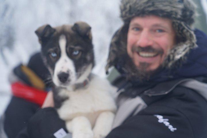 Rovaniemi 2 - Excursion guidée de 2 heures en mushing avec des huskies pour petits groupes