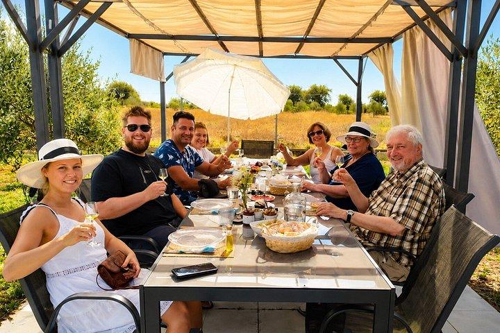 Séminaire sur l'huile d'olive avec dégustation à Metaggitsi Chalcidique