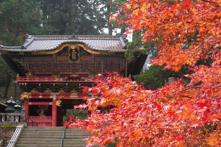 Nikko Historia y Descubrimiento de la Naturaleza | Guía y conductor con licencia privada