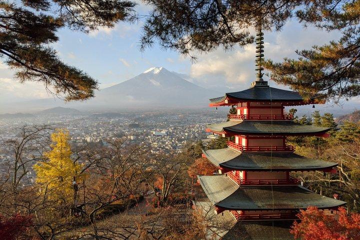 Mt Fuji Hidden Gem & Gotemba Premium Outlets with Local Driver
