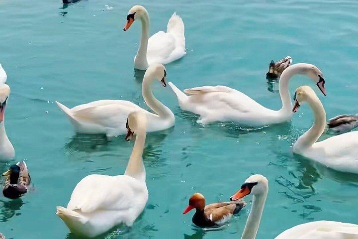 4 - 日中の長江クルーズ:重慶から宜昌へ