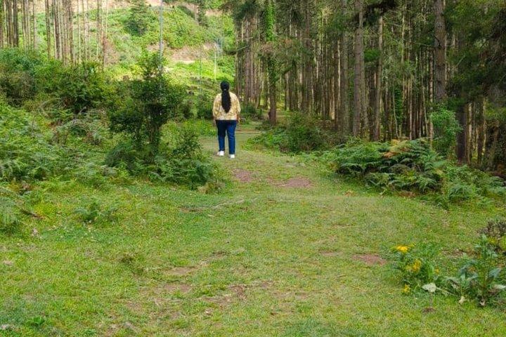 フォビジカ渓谷を巡るブータン7日間完全旅行
