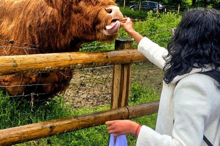 Visite privée des Highlands écossais, châteaux, Glencoe au départ d'Édimbourg