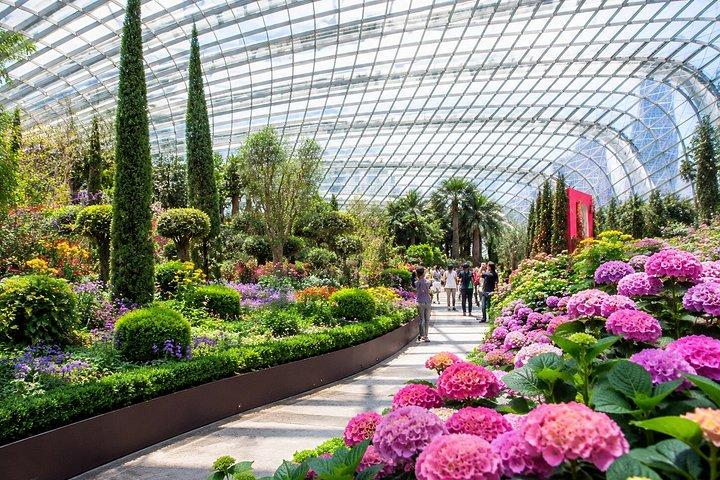 Gardens by the Bay Night Tour with Domes, Rhapsody & Dinner
