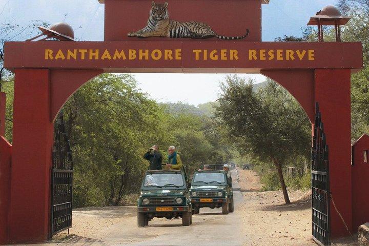 3 Tage Ranthambore & Kuno Safari Tour ab Jaipur/Ranthambore