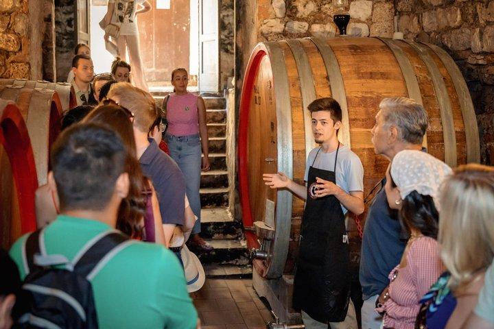 Halve dag Chianti wijnproeverij vanuit Florence met twee wijnhuizen