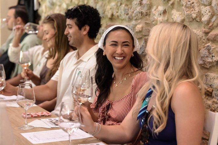 Halve dag Chianti wijnproeverij vanuit Florence met twee wijnhuizen